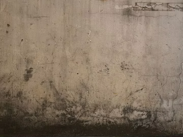 Concrete texture (ID:ffagg34674)