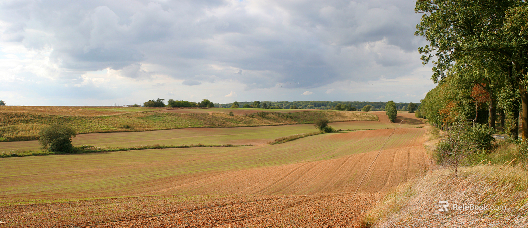 Wild Scenery texture