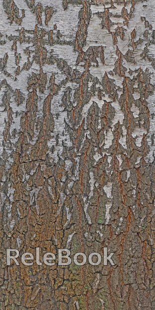 A close-up of a weathered, textured tree bark with moss and lichen growth, showcasing nature's intricate patterns and resilience.