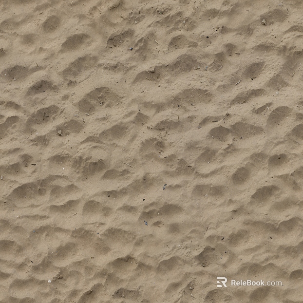 Beach Beach texture