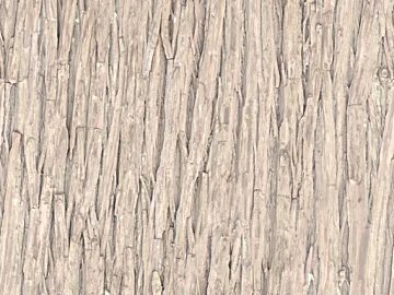 bark texture (ID:ffagg73982)