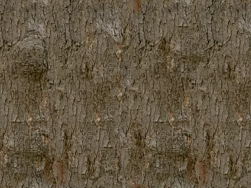 bark 3d model