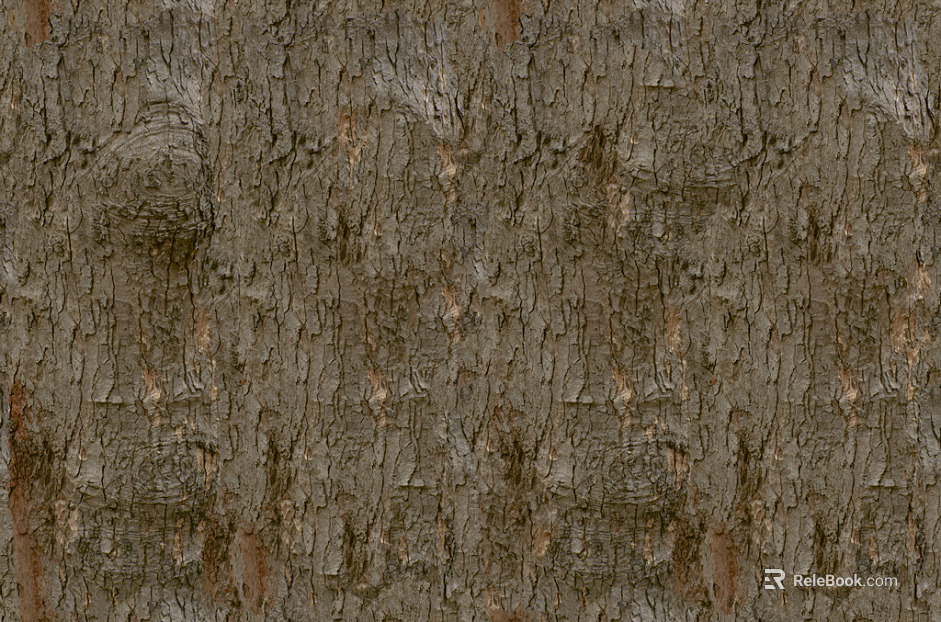 bark texture