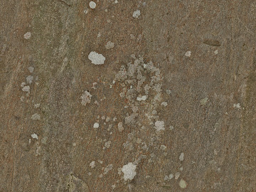 Stone texture (ID:ffaeg09745)