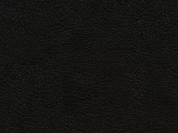 Coarse-grain leather 3d model