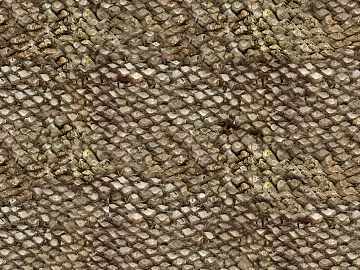 bark texture (ID:ffaeg45367)