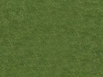 Turf texture (ID:ffaeg88074)