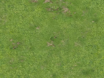 Turf texture (ID:ffacg04190)