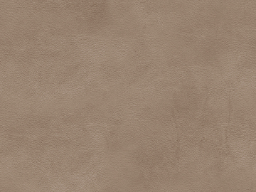 fine grain leather texture (ID:ffaag12690)