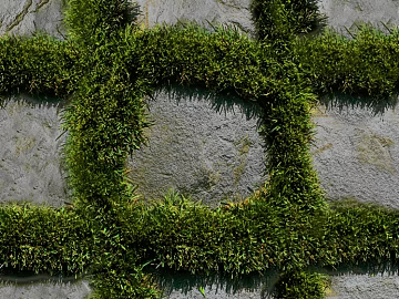 grass-planting brick texture (ID:ffaeg95204)