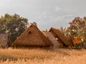 Wild Scenery texture (ID:ffach167104)