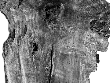 Black and White Bump texture (ID:ffacf9798)