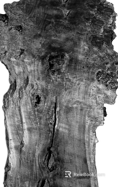 Black and White Bump texture