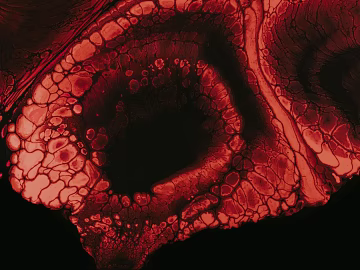 abstract painting texture (ID:ffabg19192)