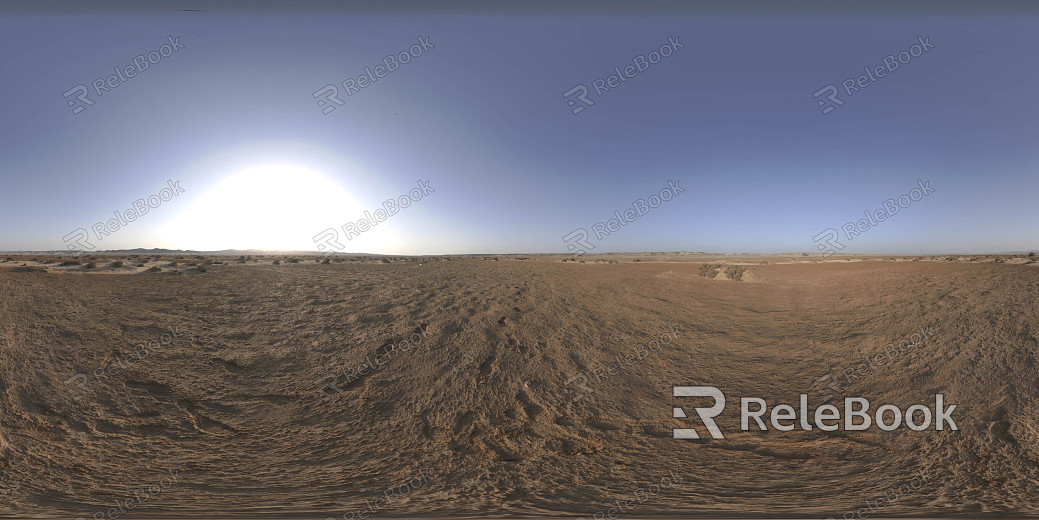 wild hdri texture