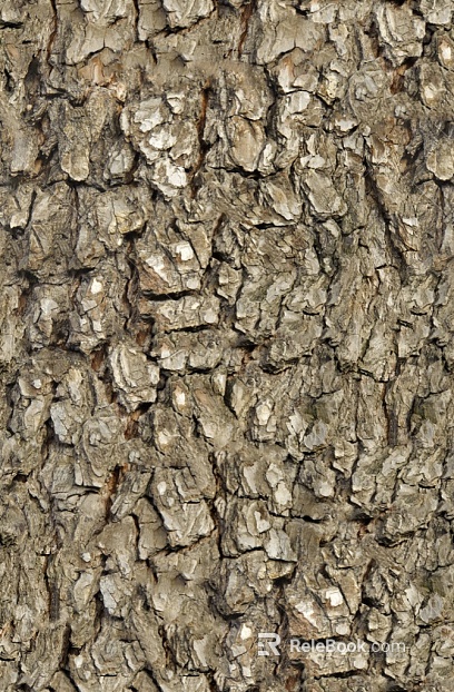 bark texture