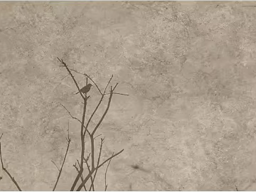 Silent Wind Beige Art Paint Background Wall texture (ID:ffaeh520164)