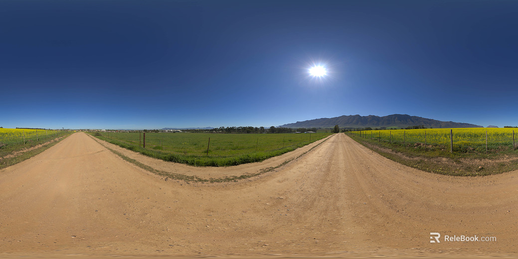 Outdoor Road Field Flower Sea Daytime HDR texture