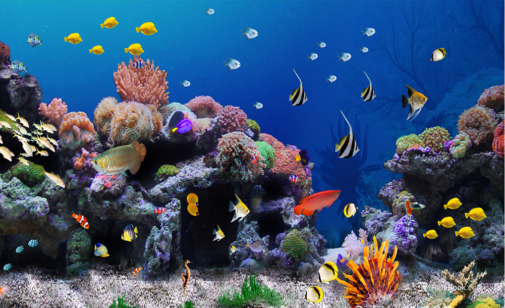 Fish tank texture