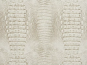 Coarse-grain leather texture (ID:ffajg23961)