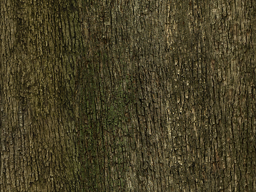 bark texture (ID:ffabg77440)