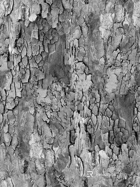 bark texture