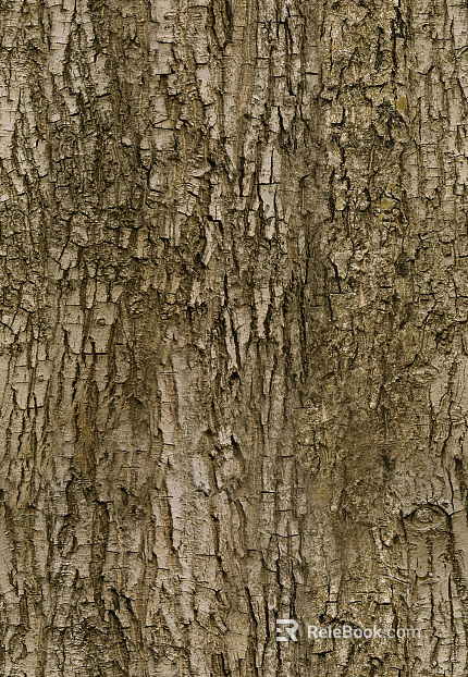 Bark Map texture