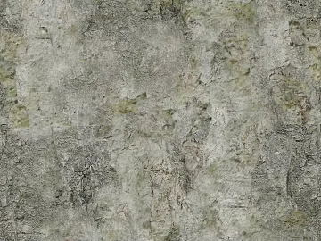 bark texture (ID:ffacg42005)