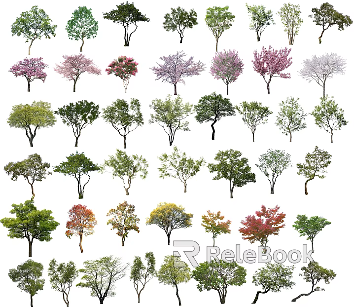 Plants texture