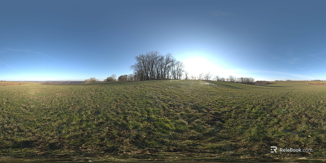 Outdoor Grass Lawn Day HDR texture