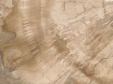 Wood grain texture (ID:ffabg14156)