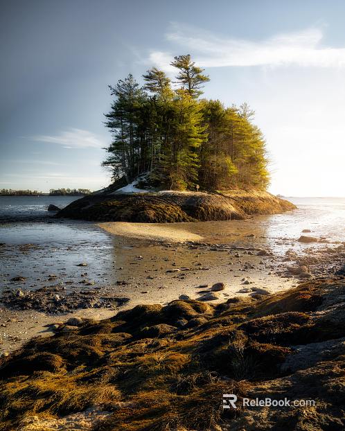 Wild Scenery texture