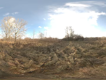 Outdoor Autumn Meadow Bitter Forest Daytime HDR texture (ID:ffach216104)
