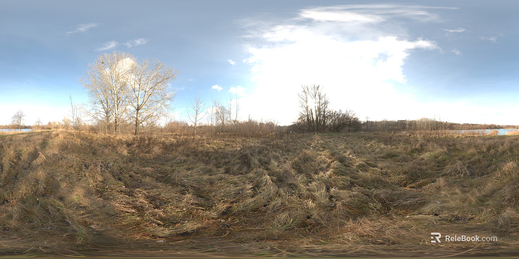 Outdoor Autumn Meadow Bitter Forest Daytime HDR texture