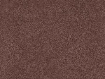 fine grain leather 3d model