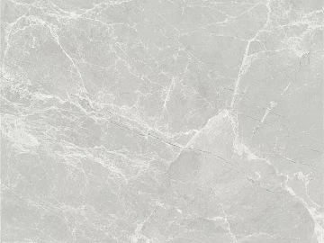 Mona Lisa marble silver gray stone texture (ID:ffabg19350)
