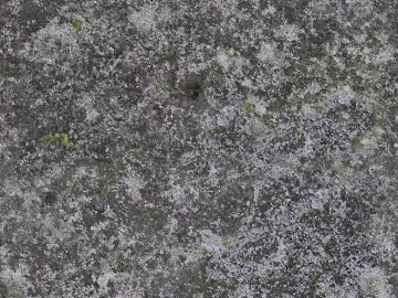 Grey Mao Slate Culture Stone Wall Rock Stone Wall texture (ID:ffach158514)