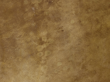 fine grain leather texture (ID:ffacg05645)