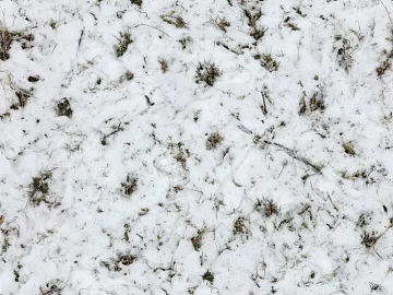 Ground-Snow texture (ID:ffhfd77)