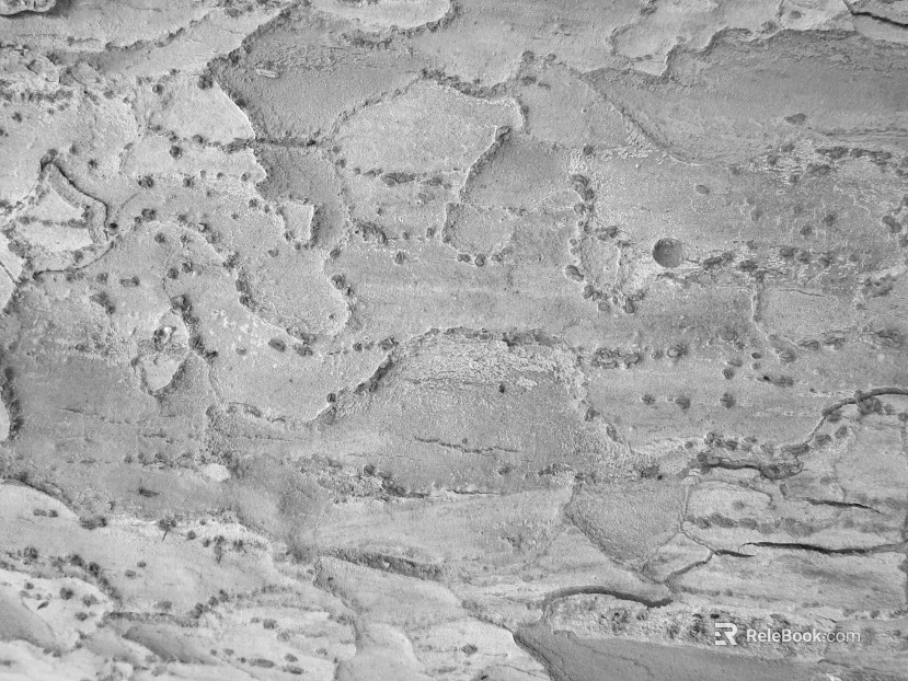 Black and White Bump texture
