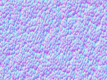 Normal Bump 3d model