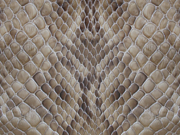 animal skin texture (ID:ffacg31684)