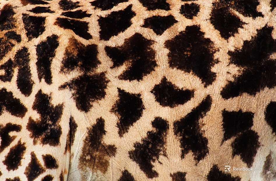 animal skin texture