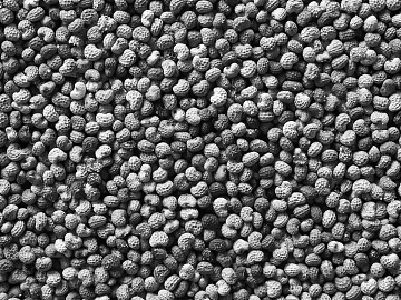 Black and White Bump texture (ID:ffabg64029)