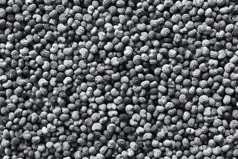 Black and White Bump texture