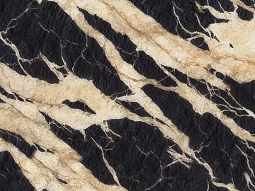 Top black and white root marble texture (ID:ffach087883)