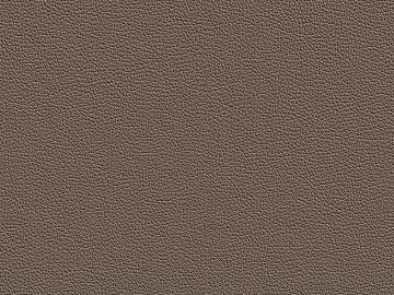 Coarse-grain leather texture (ID:ffach656705)