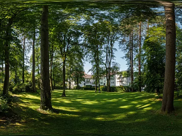 HDR blue sky white clouds lawn forest landscape panorama texture (ID:ffach654738)