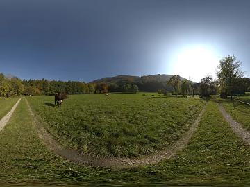 outdoor pasture forest landscape sunny hdr texture (ID:ffabg47181)