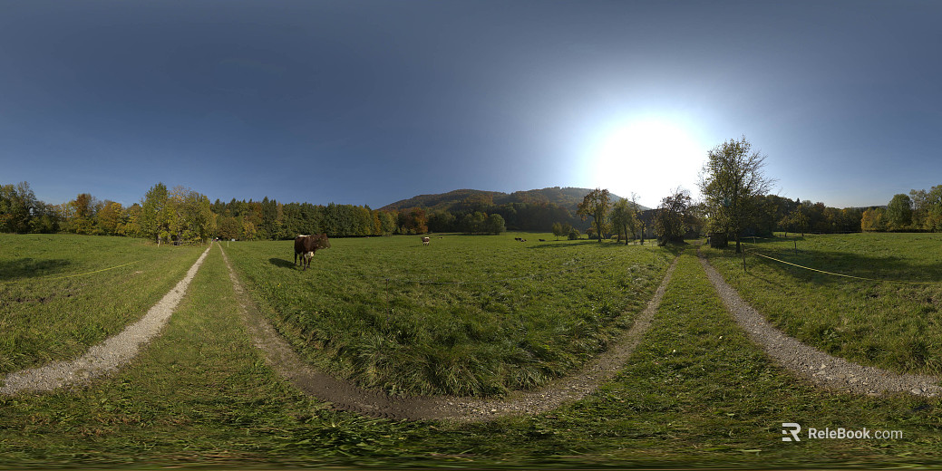outdoor pasture forest landscape sunny hdr texture
